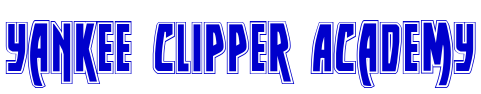 Yankee Clipper Academy fuente